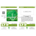 LT06 Huayang high yield verde semillas de lechuga italiana empresas